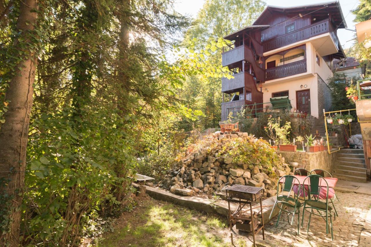 Apartamento Rustic Regal Sinaia Exterior foto